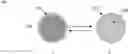 Fig. 01 - MULTIFUNCTIONAL TITANIUM DIOXIDE-POLYMER HYBRID MICROCAPSULES FOR THERMAL REGULATION AND VISIBLE LIGHT PHOTOCATALYSIS