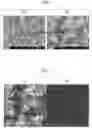 Fig. 02 - Rapid-hardening mortar composition