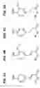 Fig. 03 - LIGNIN CONVERSION TO PHENOLIC MOLECULES USING TRANSITION METAL CATALYSTS