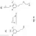 Fig. 17 - LIGNIN CONVERSION TO PHENOLIC MOLECULES USING TRANSITION METAL CATALYSTS