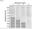 Fig. 06 - Composition for detecting acidic compound