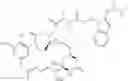 Fig. 263 - Hydrazinyl-pyrrolo compounds and methods for producing a conjugate