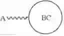 Fig. 149 - Branched Discrete PEG Constructs