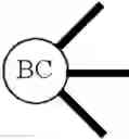 Fig. 44 - Branched Discrete PEG Constructs