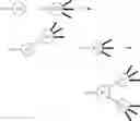 Fig. 71 - Branched Discrete PEG Constructs