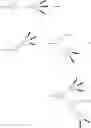 Fig. 83 - Branched Discrete PEG Constructs