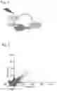 Fig. 02 - Selective inhibition of gluconeogenic activity