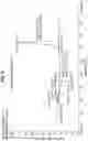 Fig. 08 - Polymorphs of n-[(3-fluoro-4-methoxypyridin-2-yl)methyl]-3-(methoxymethyl)-1-({4-[2-oxopyridin-1-yl)methyl]phenyl} methyl)pyrazole-4-carboxamide as iallikrein inhibitors