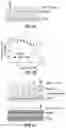 Fig. 05 - Methods to induce targeted protein degradation through bifunctional molecules