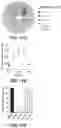 Fig. 23 - Methods to induce targeted protein degradation through bifunctional molecules