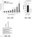 Fig. 24 - Methods to induce targeted protein degradation through bifunctional molecules