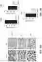 Fig. 25 - Methods to induce targeted protein degradation through bifunctional molecules