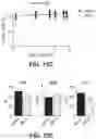 Fig. 27 - Methods to induce targeted protein degradation through bifunctional molecules