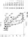 Fig. 40 - Methods to induce targeted protein degradation through bifunctional molecules