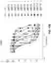 Fig. 41 - Methods to induce targeted protein degradation through bifunctional molecules