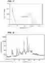 Fig. 05 - Crystalline forms of a biphenyl compound
