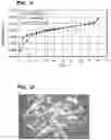 Fig. 07 - Crystalline forms of a biphenyl compound