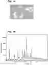 Fig. 10 - Crystalline forms of a biphenyl compound
