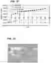 Fig. 12 - Crystalline forms of a biphenyl compound