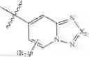 Fig. 08 - ErbB receptor inhibitors