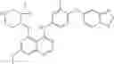 Fig. 58 - ErbB receptor inhibitors