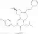Fig. 74 - Substituted pyrrolo[1,2-a]pyrazines and pyrrolo[1,2-a][1,4]diazepines as TREX1 inhibitors