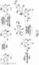 Fig. 03 - Substituted pyrazolo[3,4-d]pyrimidines as mTOR inhibitors