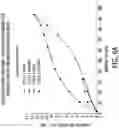 Fig. 25 - Processes for the preparation of (3S,4R)-3-ethyl-4-(3H-imidazo[l,2-a]pyrrolo[2,3-e]-pyrazin-8-yl)-N-(2,2,2-trifluoroethyl)pyrrolidine-1-carboxamide and solid state forms thereof