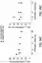 Fig. 62 - Processes for the preparation of (3S,4R)-3-ethyl-4-(3H-imidazo[l,2-a]pyrrolo[2,3-e]-pyrazin-8-yl)-N-(2,2,2-trifluoroethyl)pyrrolidine-1-carboxamide and solid state forms thereof