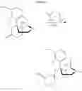 Fig. 16 - Opioid ketal compounds and uses thereof