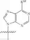 Fig. 42 - Compounds targeting PRMT5