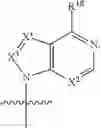 Fig. 46 - Compounds targeting PRMT5