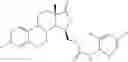 Fig. 366 - Therapeutically active steroidal derivatives