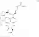 Fig. 22 - Solid phase synthesis of NIR fluorescent probe