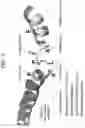 Fig. 02 - Engineered O-glycosylation in recombinant polypeptides and uses thereof