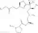 Fig. 40 - Macrocyclic therapeutic agents, methods of manufacture, and methods of treatment