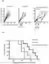 Fig. 02 - FOXP3-binding peptides and uses thereof