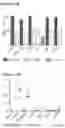 Fig. 09 - RSV-SPECIFIC BINDING MOLECULE