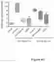 Fig. 10 - RSV-SPECIFIC BINDING MOLECULE