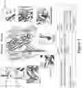Fig. 02 - Immunogenic compositions comprising leukocidin LukA and LukB derived polypeptides