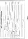 Fig. 22 - Multispecific binding molecules having specificity to dystroglycan and laminin-2
