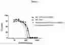 Fig. 04 - Anti-complement factor C1q Fab fragments and uses thereof