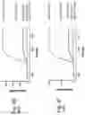 Fig. 07 - ANTI-HUMAN CD19 ANTIBODIES WITH HIGH AFFINITY