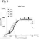 Fig. 09 - ANTI-HUMAN CD19 ANTIBODIES WITH HIGH AFFINITY