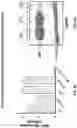 Fig. 06 - SP35 Antibodies And Uses Thereof