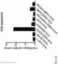 Fig. 04 - Anti-TREM2 antibodies and methods of use thereof