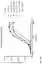 Fig. 09 - Anti-TREM2 antibodies and methods of use thereof