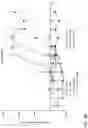 Fig. 16 - Anti-TREM2 antibodies and methods of use thereof