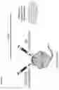 Fig. 24 - Compositions and methods for treating age-related diseases