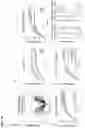 Fig. 33 - Compositions and methods for treating age-related diseases